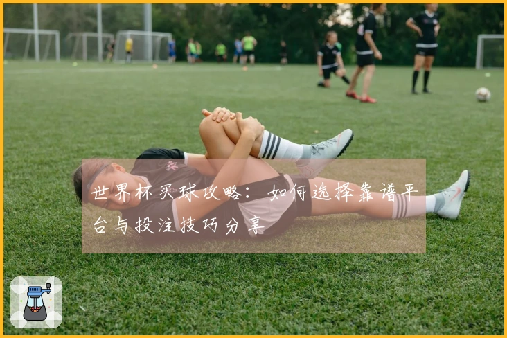世界杯买球攻略：如何选择靠谱平台与投注技巧分享