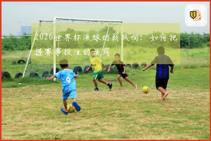 2026世界杯滚球的新风向：如何把握赛事投注的诀窍