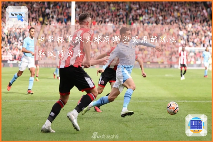 世界杯滚球买球有哪些实用的玩法和技巧分享