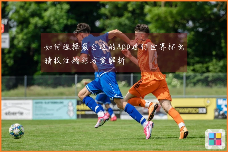 如何选择最合适的App进行世界杯竞猜投注精彩方案解析