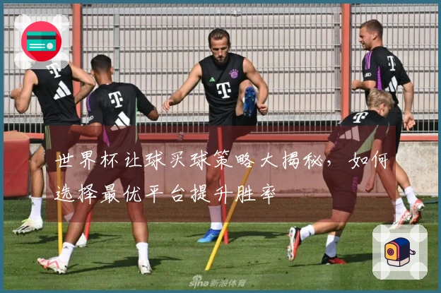 世界杯让球买球策略大揭秘，如何选择最优平台提升胜率