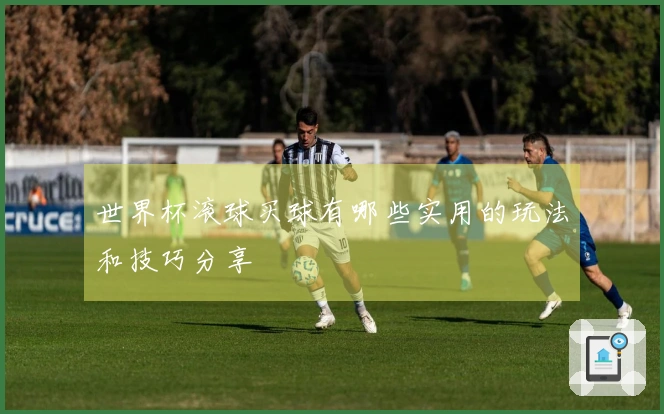 世界杯滚球买球有哪些实用的玩法和技巧分享